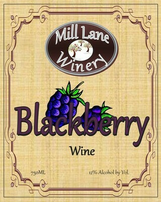 blackberry wine novel blackberry wine novel