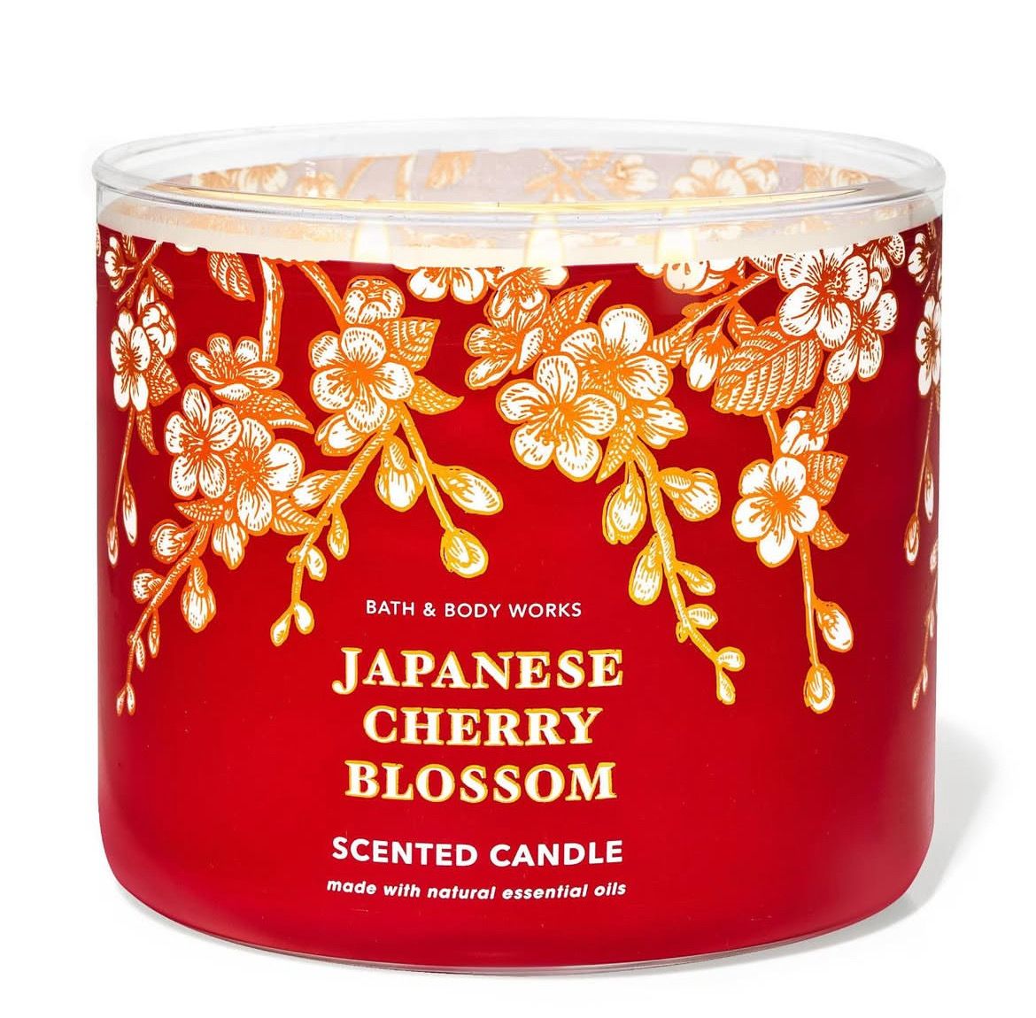 Japanese Cherry Blossom Japanese Cherry Blossom