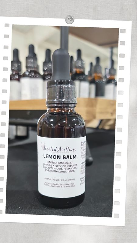 Lemon Balm Herbal Tincture