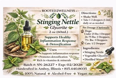 Stinging Nettle