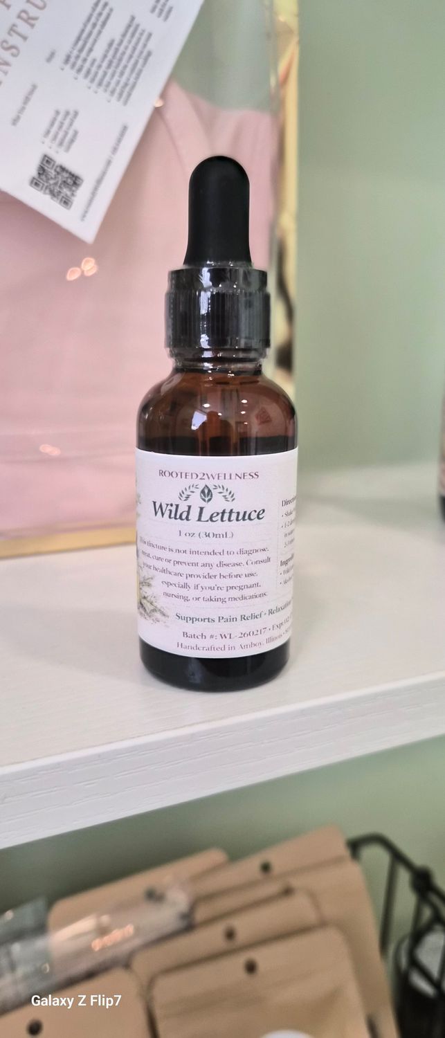 Wild Lettuce Tincture  - 1oz