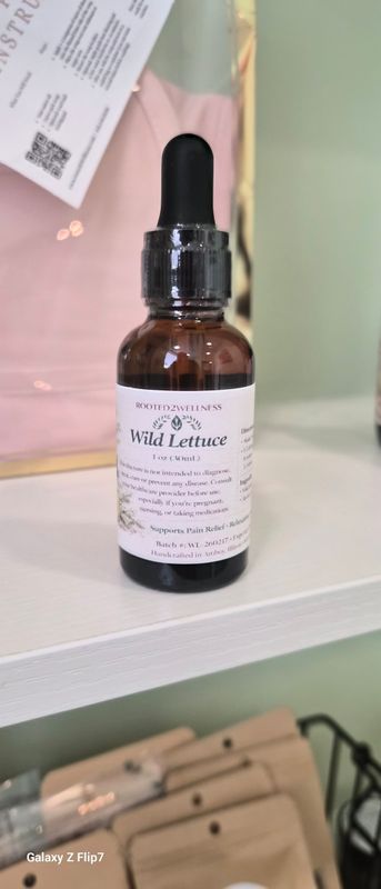 Wild Lettuce Tincture  - 1oz