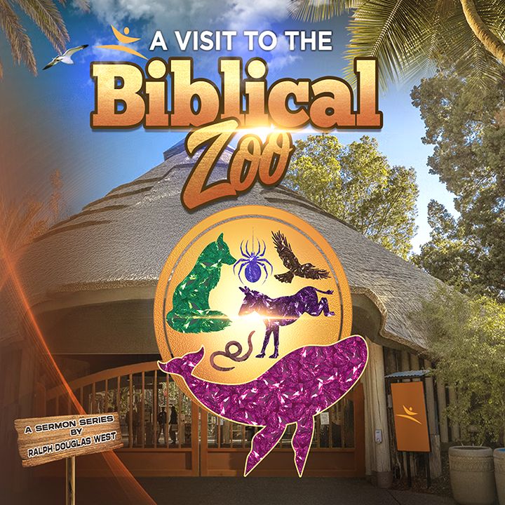 The Divine Donkey 10AM (MP3)