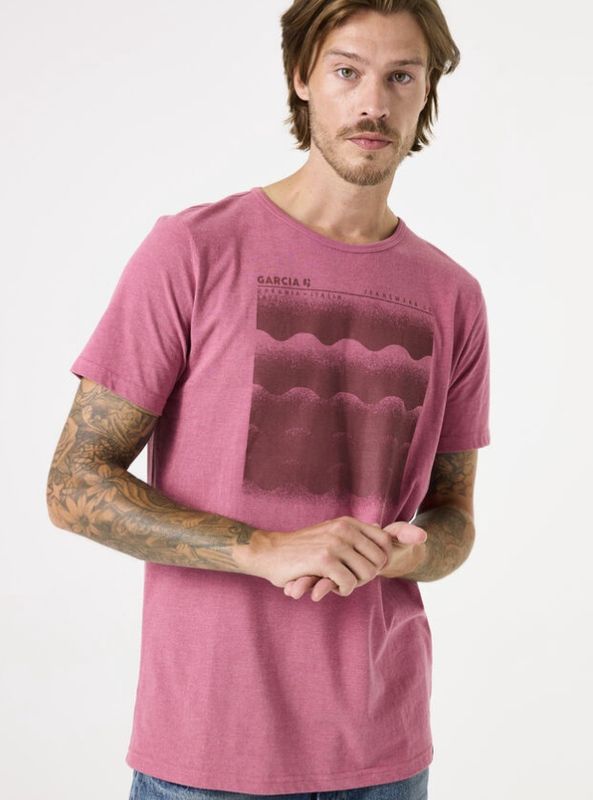 C51201 - Soft Rose