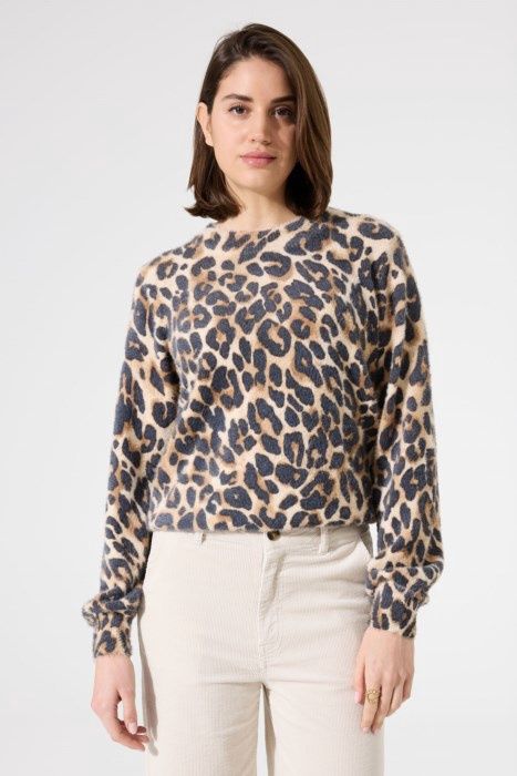 H50044 - Almond