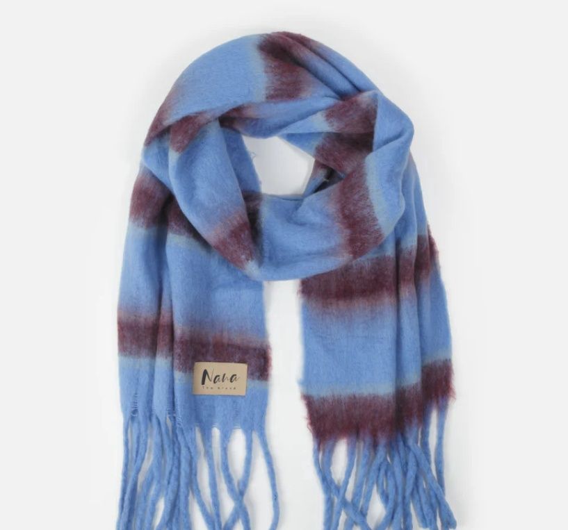 Geneve - Lignes bleues et rouges