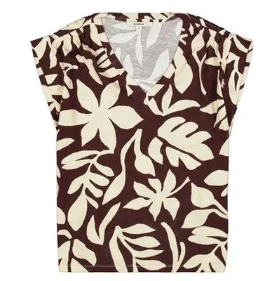 P260210 - Earth Brown