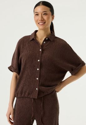 P260239 - Earth Brown