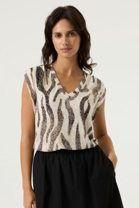 Q260012 - Turtledove