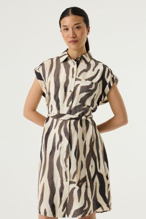 Q260088 - Turtledove