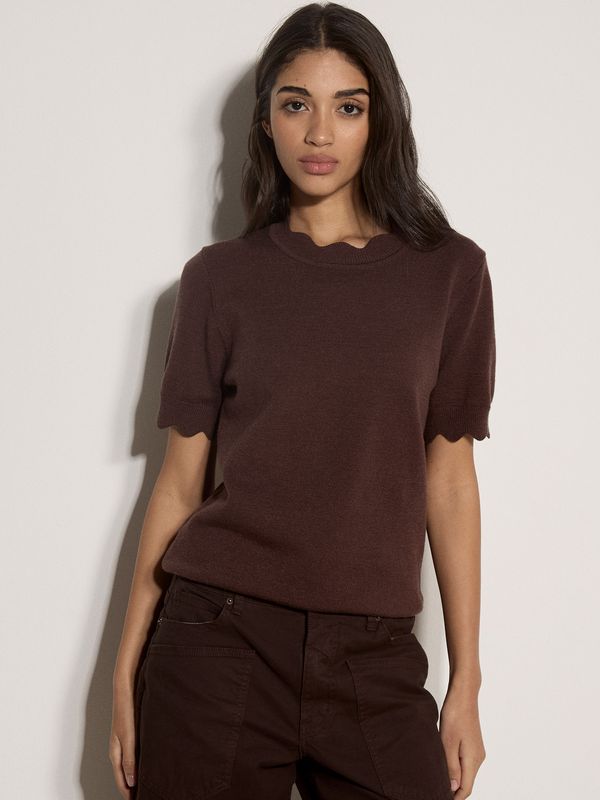X246458 - Brown