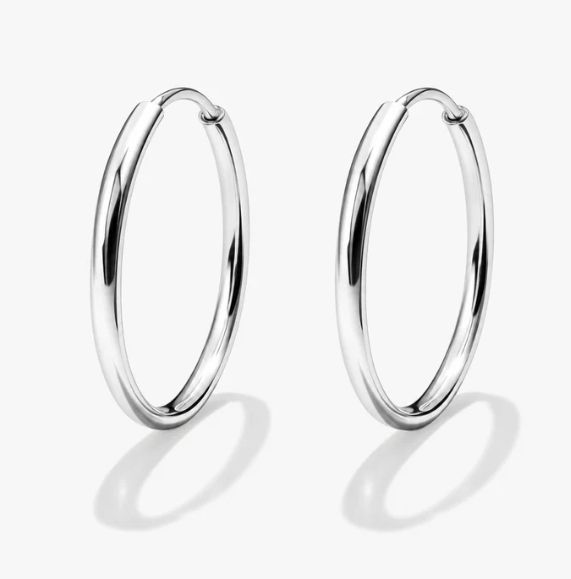Silvered Sleeper Earrings in Stainless Steel