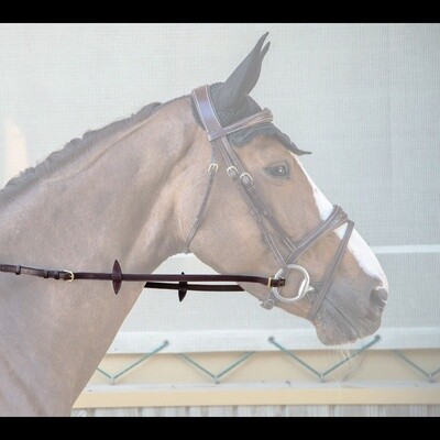 Dy&#39;on Adjustable Reins