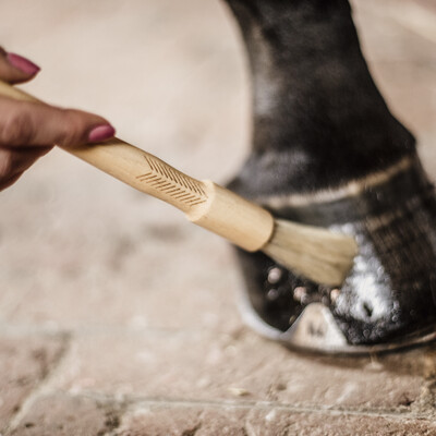 Kentucky Hoof Brush