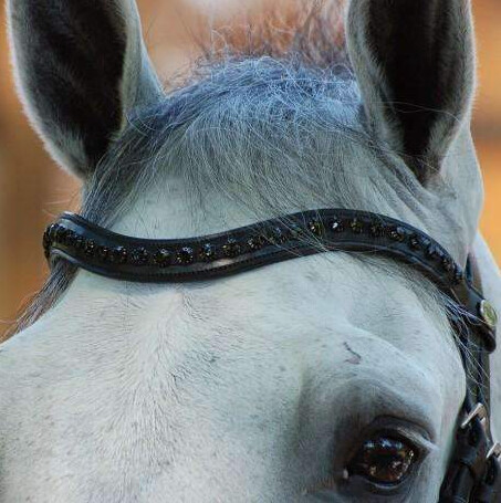 Dy&#39;on Black Swarovski V-Shaped Browband - New English Full