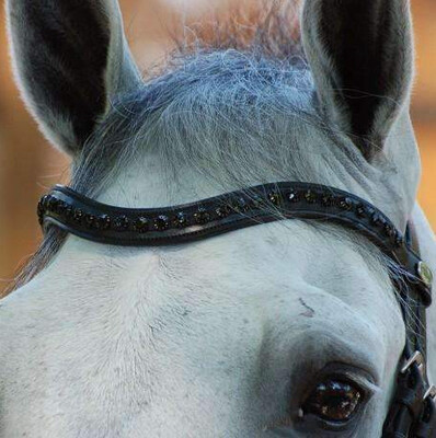 Dy&#39;on Black Swarovski V-Shaped Browband - New English Full