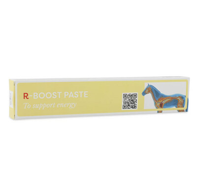 R-Boost paste energyboost