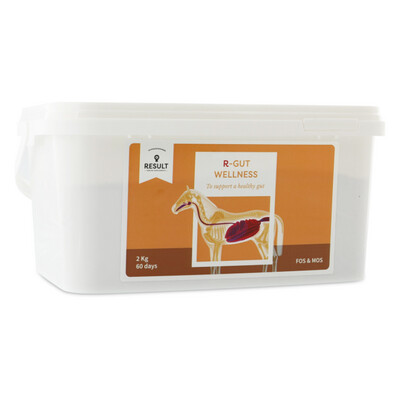 R-Gut wellness supplement