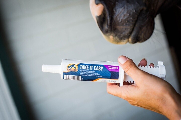 Cavalor Take it Easy Paste 1 x 60g