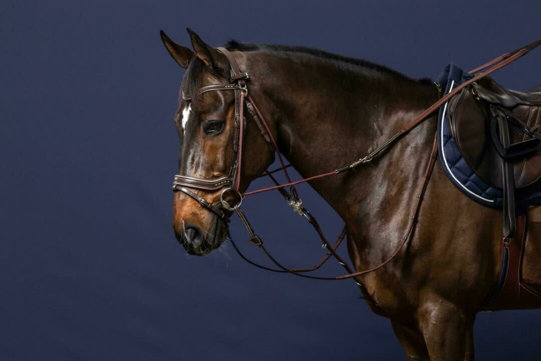 Dy&#39;on 1/2 Rubber Gogue Reins