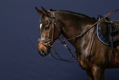Dy&#39;on 1/2 Rubber Gogue Reins