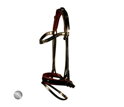 LJ Leathers Syana Stang And Bridle Rongenaaid