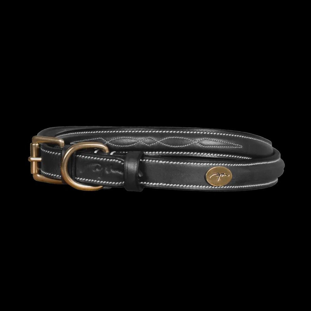 Dy&#39;on Fancy Collier pour chien