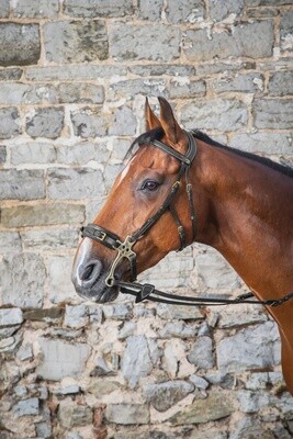 Dy&#39;on Hackamore Bridle - D Collection