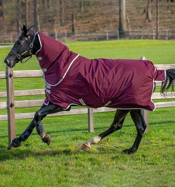 Horseware Amigo Hero Ripstop Plus