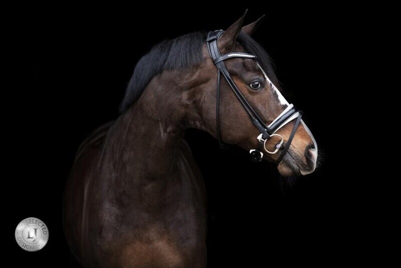 LJ Leathers Pro Selected SERRENTO Bridle; Round stitched