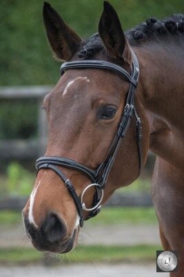 LJ Leathers Trense Legacy Kombinierter Reithalfter