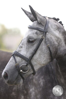 LJ Leathers London Anatomic Combined Noseband