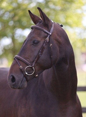 LJ Leathers Bridle London Comb. Noseband