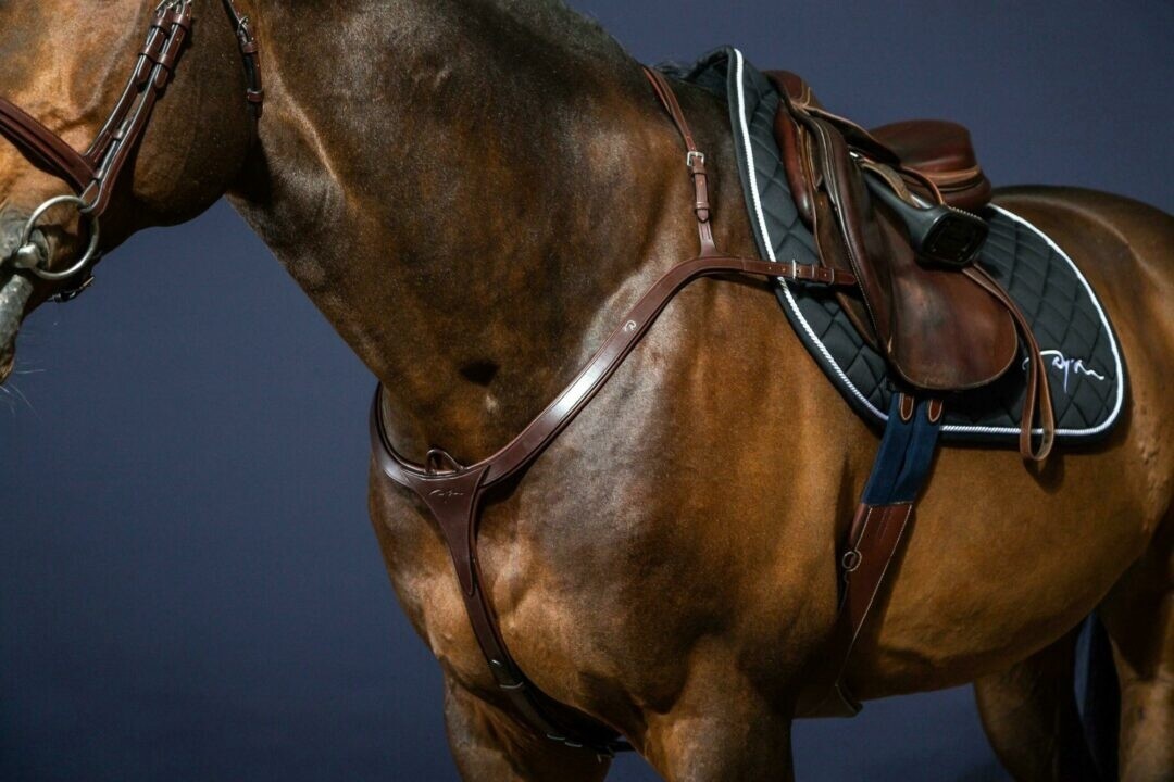 Dy&#39;on Long Bridge Breastplate, Color: Brown, Size: Full