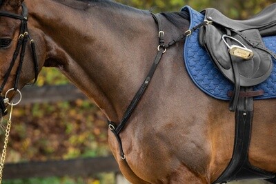 Dy&#39;on Bridge Breastplate D Collection