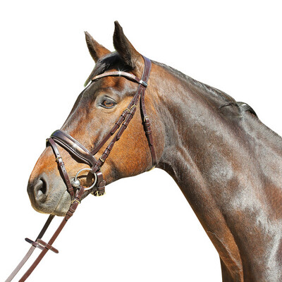 Euroriding Bridle Patent Versailles