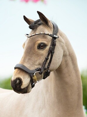 PS of Sweden Browband Sleek Fudge