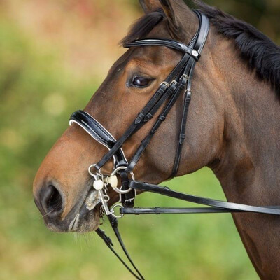 HFI Rod and Snaffle Bridle