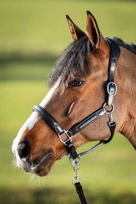HFI Wave Halter