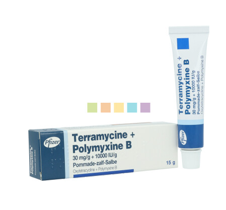 Terramycin Ointment 15G