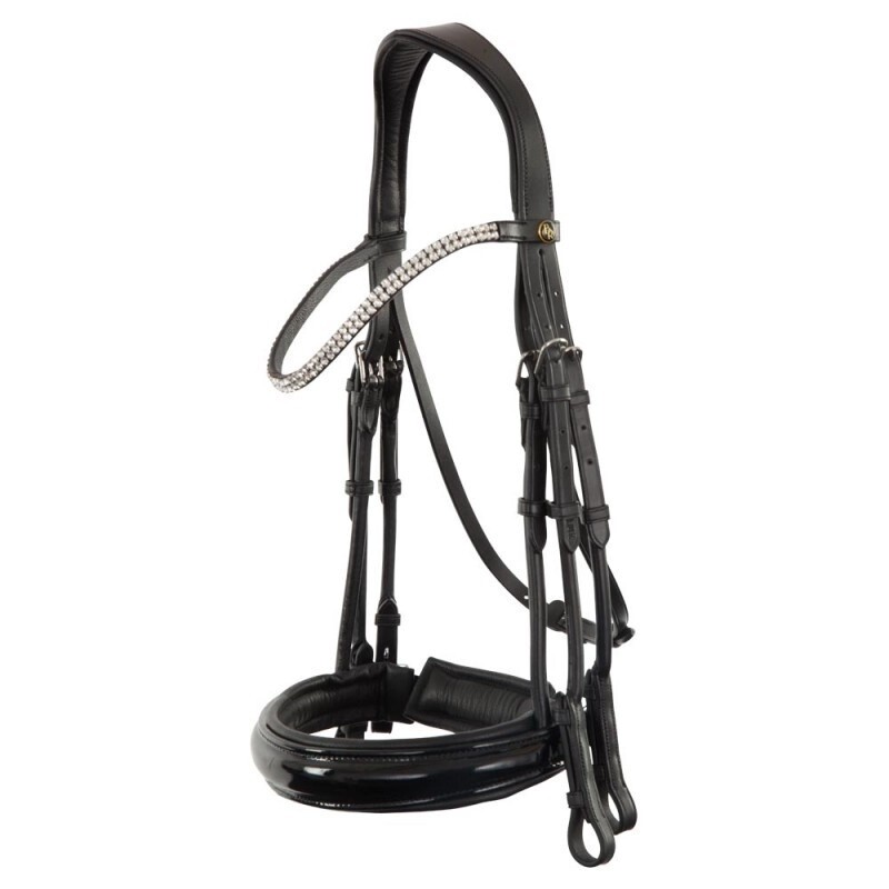 BR Stang and Bitless Bridle Swindon II