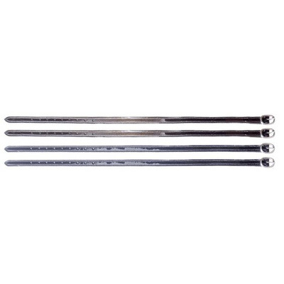 EURORIDING SPUR BELTS NIZZA; LACK METALLIC