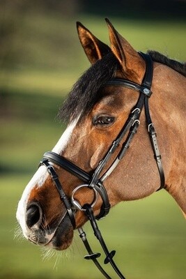 HFI Soft Headstall