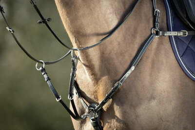 HFI Breastplate ̃Long Bridge&quot;