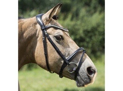 LJ Leathers Bridle IRIS Combined Noseband