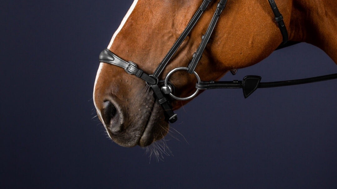 Adjustable Drop Noseband Black Cob