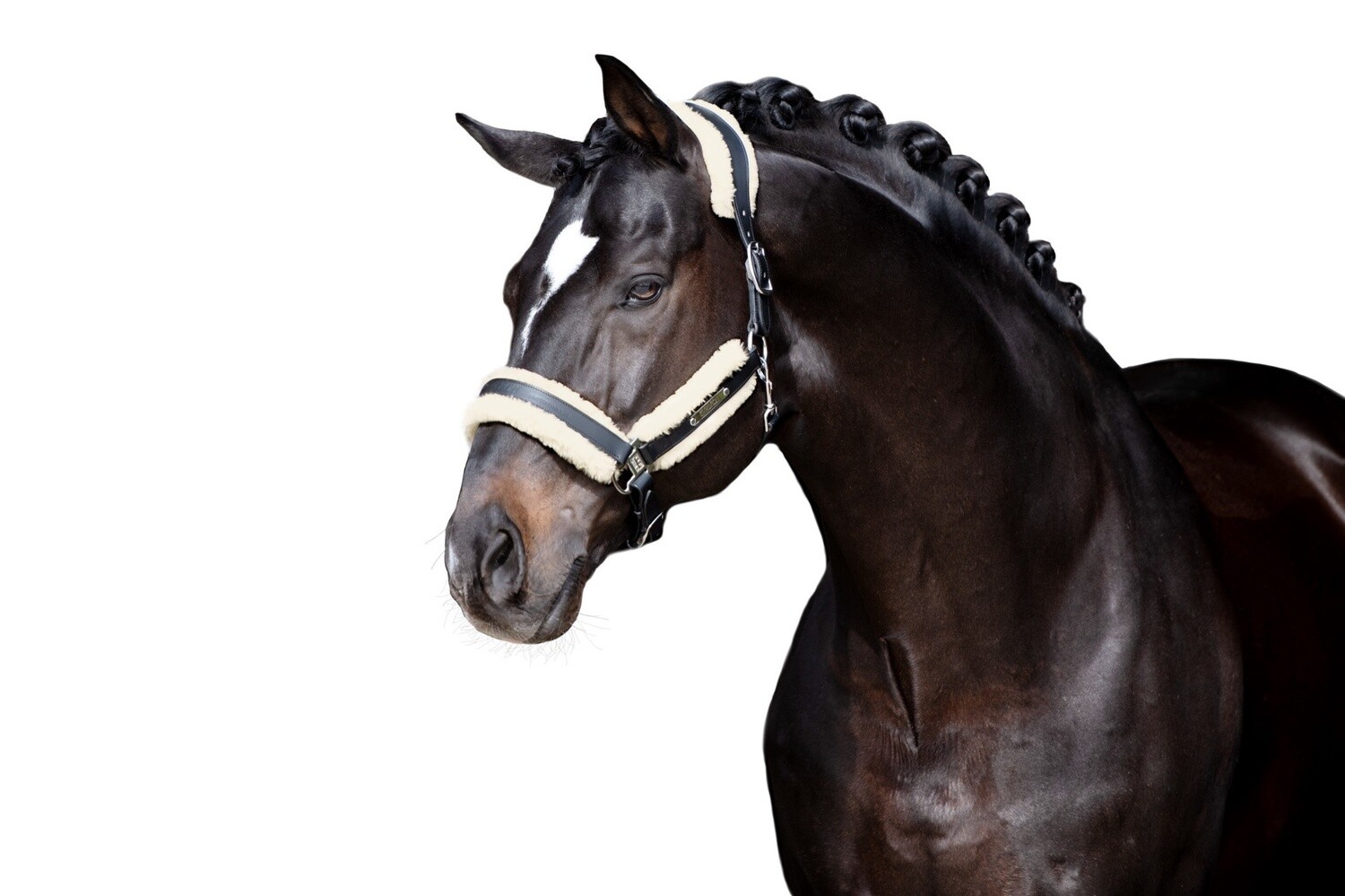 Eskadron Faux Fur Set Stallion, Color: Nature, Size: Cob
