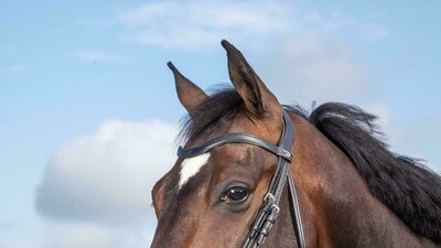 Dy&#39;on Flat Leather V-Shaped Browband - New English