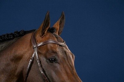 Dy&#39;on Cuir Plat En V Bandeau Frontal Hunter