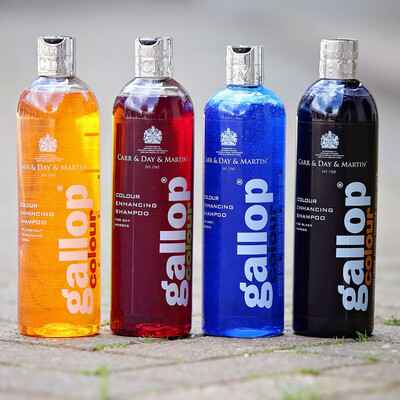 Carr &amp; Day &amp; Martin Gallop Color Enhancing Shampoos